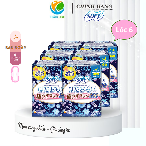 Băng Vệ Sinh Sofy skinComfort UT 29cm 15 Mếng