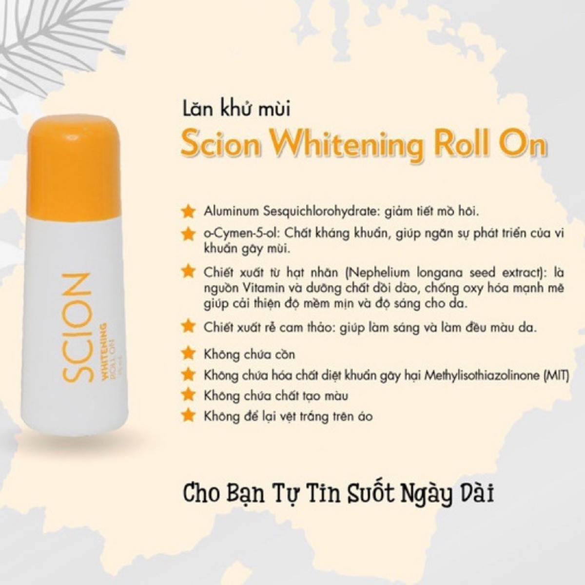 lan-nach-scion